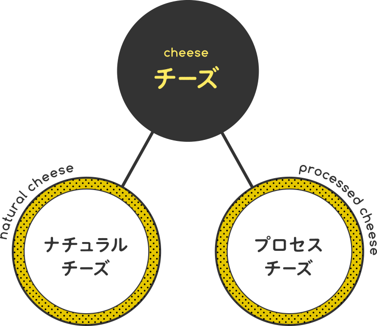 チーズの種類 チーズをもっと知る 知る 体験する Qbb 六甲バター株式会社