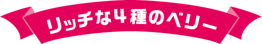 リッチな４種のベリー