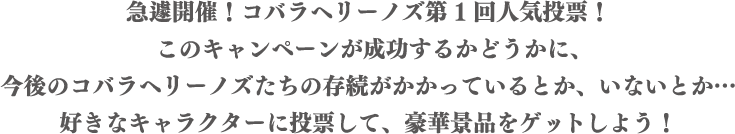 急遽開催!コバラヘリーノズ第1回人気投票!このキャンペーンが成功するかどうかに、今後のコバラヘリーノズたちの存続がかかっているとか、いないとか…好きなキャラクターに投票して、豪華景品をゲットしよう!