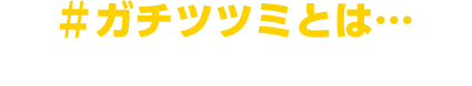 #ガチツツミとは…堤さんなど同音異字名